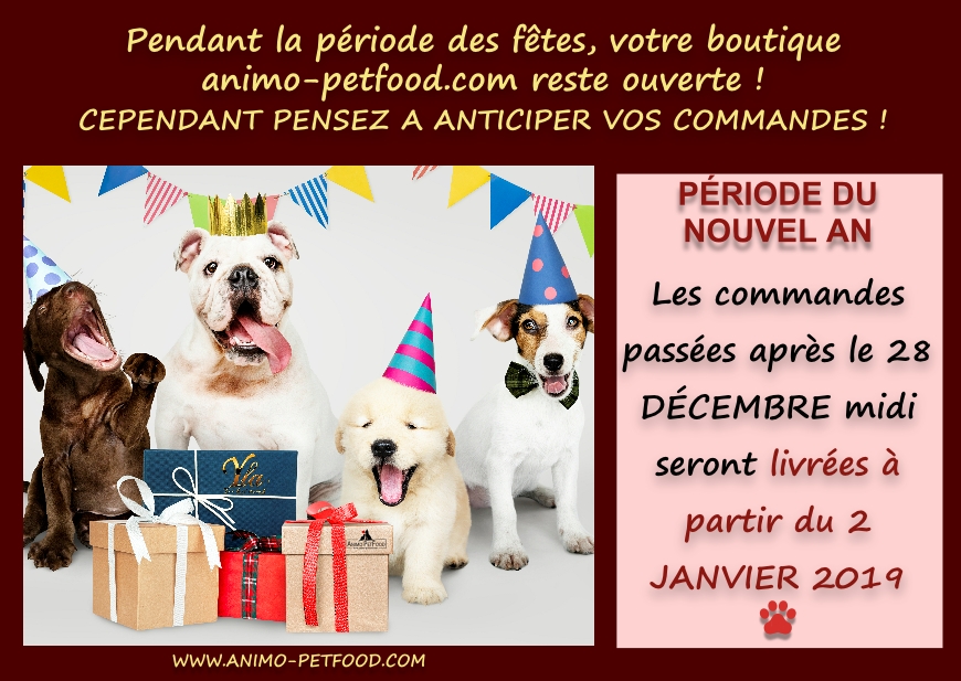 boutique spécialisée pour chien et chat